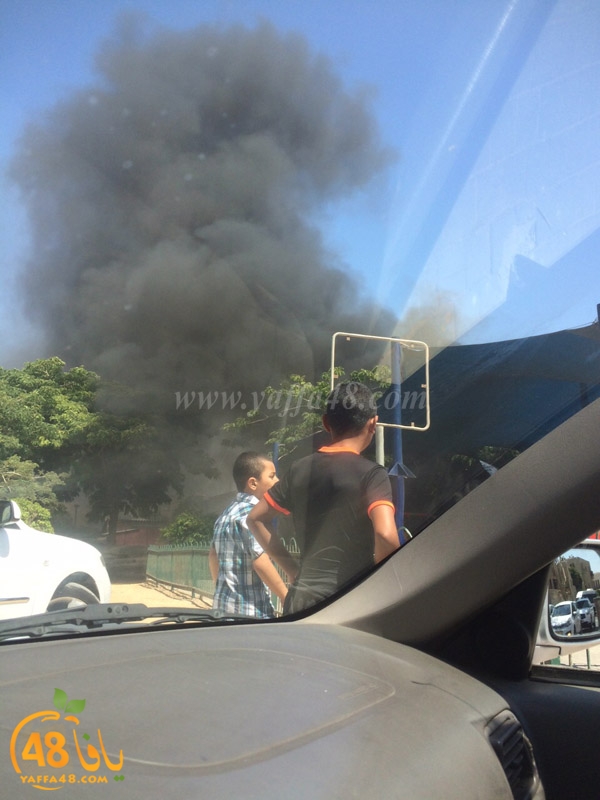 firealn jaami (2).jpg